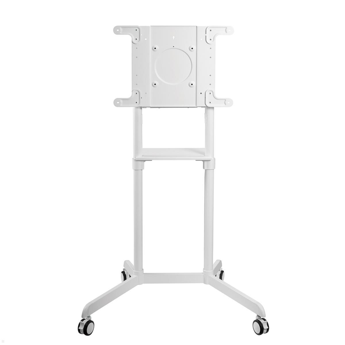 Neomounts NS-M1250WHITE Monitorständer mit Rollen bis 70 Zoll, weiß, Front