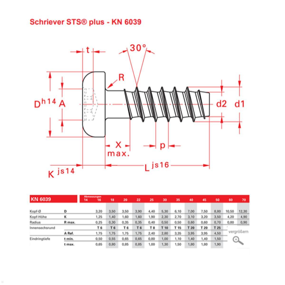 Bachmann Torx T6 Schrauben für Custom Modul (917.041), Skizze