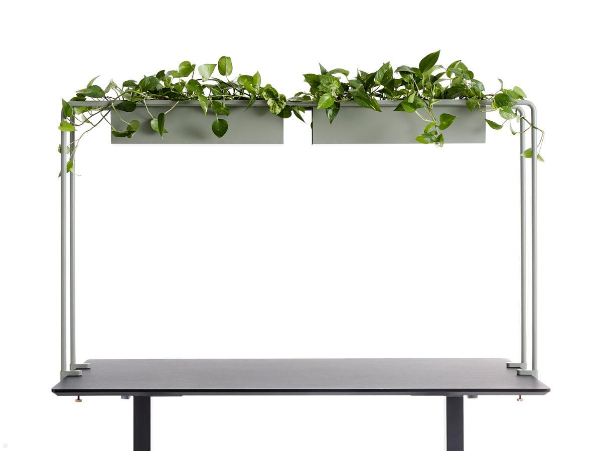 APTO Schreibtisch Halterung für Blumenkästen 160x80,2cm mit Tischklemmen, olivgrün