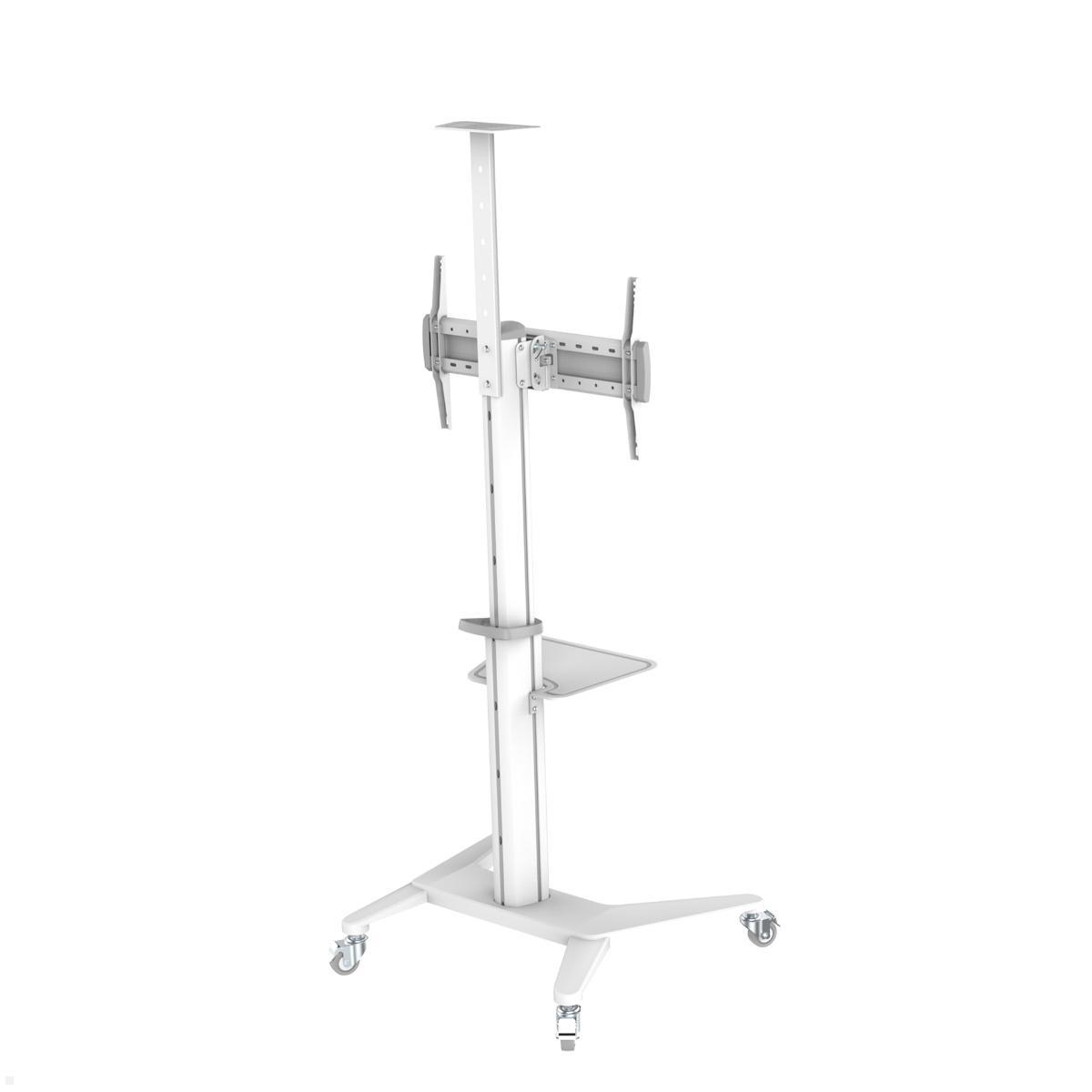 PureMounts PDS-0003C TV Ständer mit Rollen + Ablagen bis 70 Zoll Säule höhenverstellbar